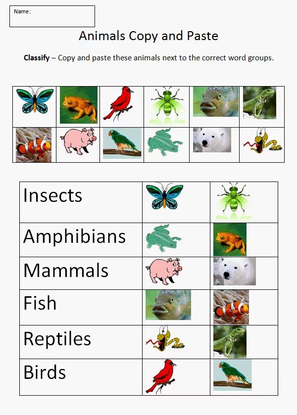 Reptiles mammals. Classification of animals. Animals classification for Kids. Classify the animals 5 класс. Animals classification mammals Reptiles.