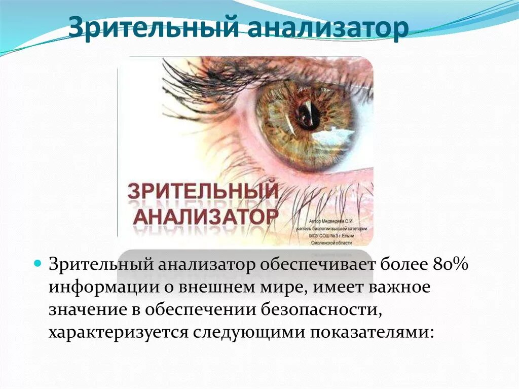 Анализаторы обеспечивают