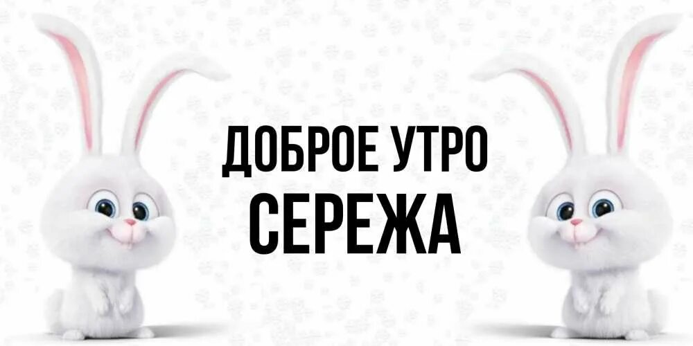 Ты моя зая. Зая минус. Зая минус. Футболка женская злая зая. Футболка с надписью злая зая.