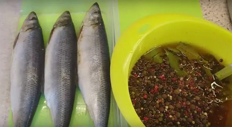Как засолить селедку в рассоле целиком. Засолка сельди пряной. Засолка сельди пряной. Сельдь пряного посола. Засолка сельди пряной.