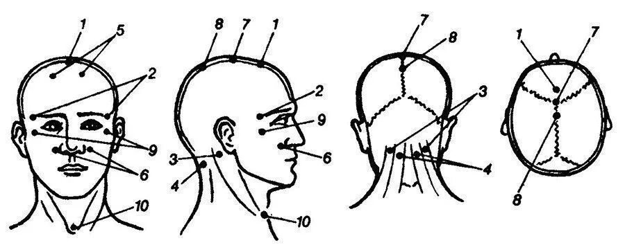Точки на затылке. Точечный массаж головы. Точки на голове для массажа. Биологически активные точки на голове.