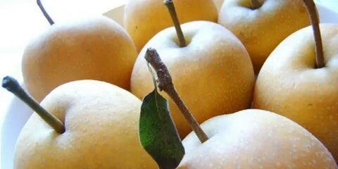Bore fruit