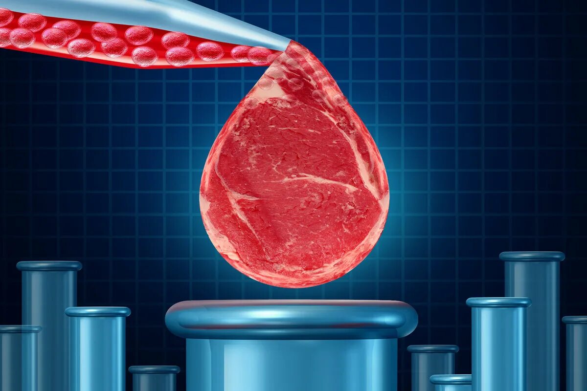Почему вкус мяса. Мясо, выращенное в лаборатории. Искусственно выращенное мясо. Искусственное мясо из пробирки.