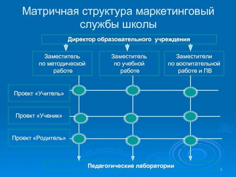 Маркетинговые школы. Организационная структура матричная отдела маркетинга. Матричная организационная структура управления схема. Матричная организационная структура школы. Матричная организационная структура таблица.