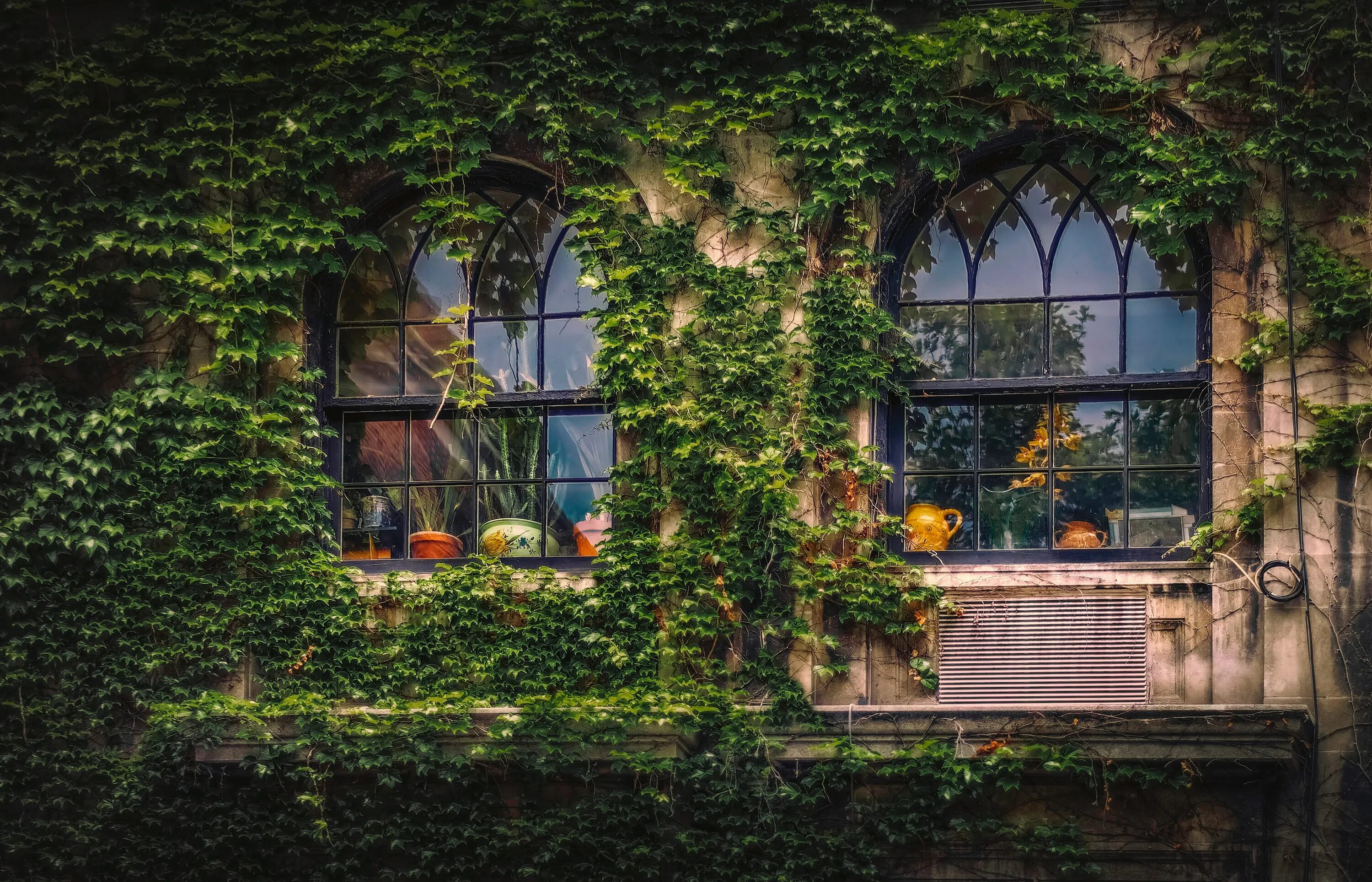 На заросшей плющом. Плющ на окне. Окна в архитектуре. Арочное окно с растениями. Средневековый балкон.