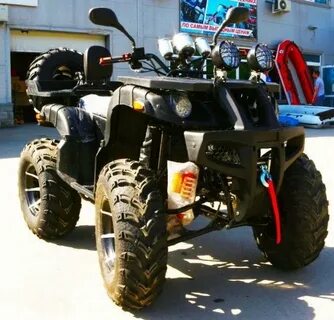 Tiger 300