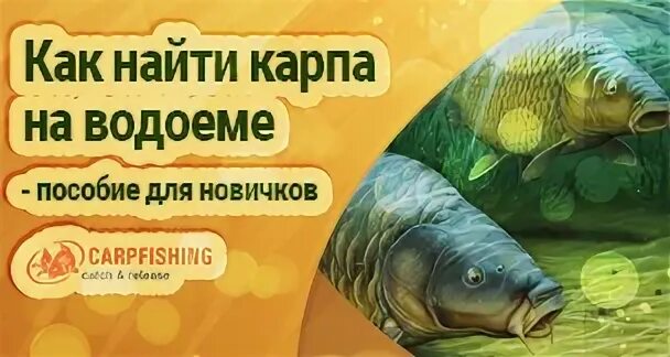 Духовный карп
