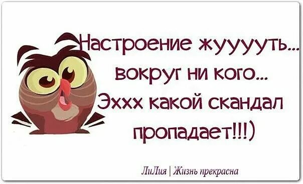 Цитаты про плохое настроение. Смешные фразы про плохое настроение. Афоризмы про плохое настроение. Высказывания о плохом настроении. Песня нету настроения