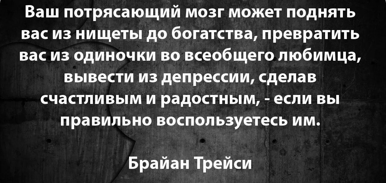 Может быть абсолютно любой. Цитаты про мозг. Афоризмы о мозге человека. Фразы про мозги. Цитаты про мозги.