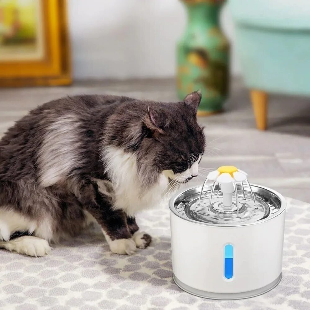 Автопоилка ПЭТ диспенсер. Автопоилка для кошек Automatic Pet Feeder. Pet Water Fountain поилка. Els Pet фонтанчик для кошек 1.5. Поилка фонтан для кошек купить