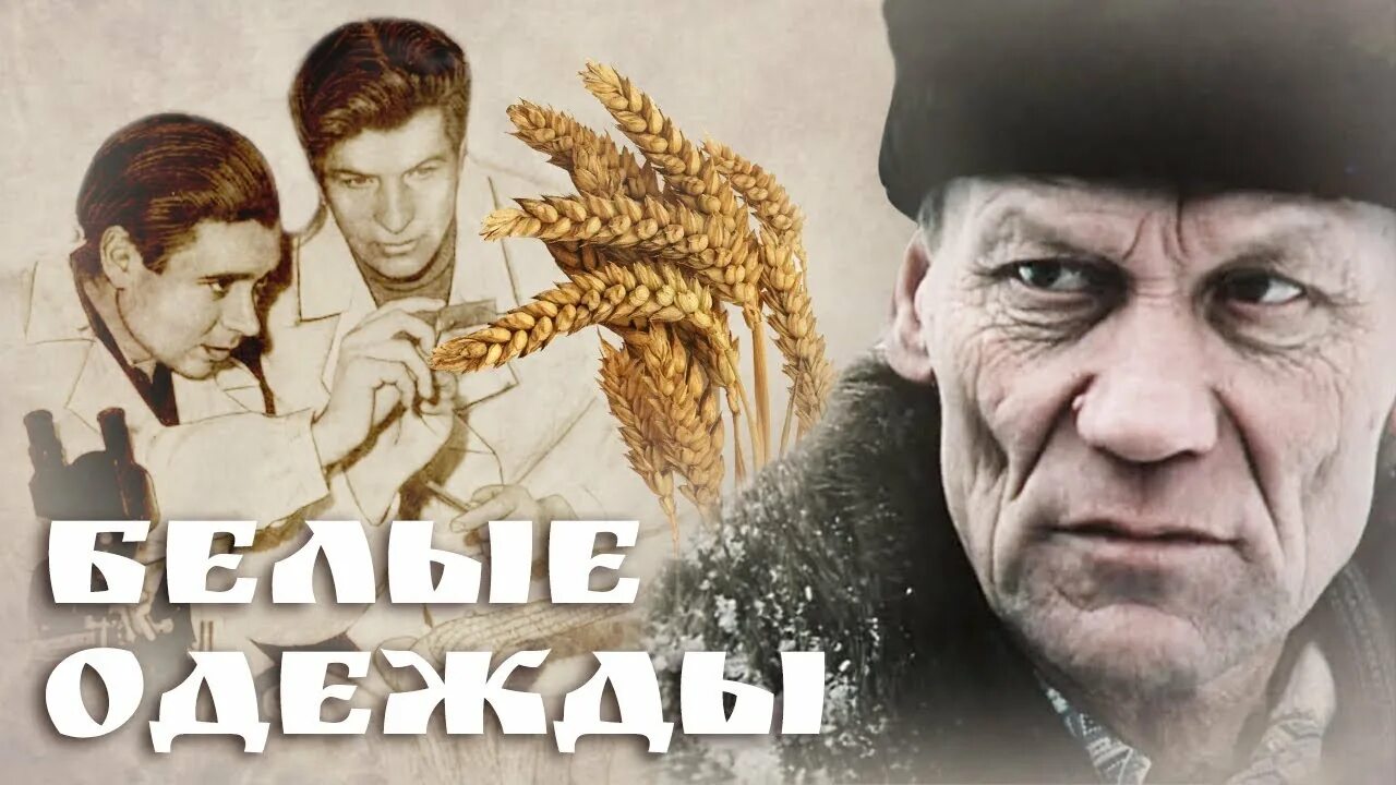Белые одежды фильм завьялова. Дудинцев белые одежды фильм. Ольга беляева белые одежды(сериал, 1992). Белые одежды 3 2. Дудинцев белые одежды фильм.