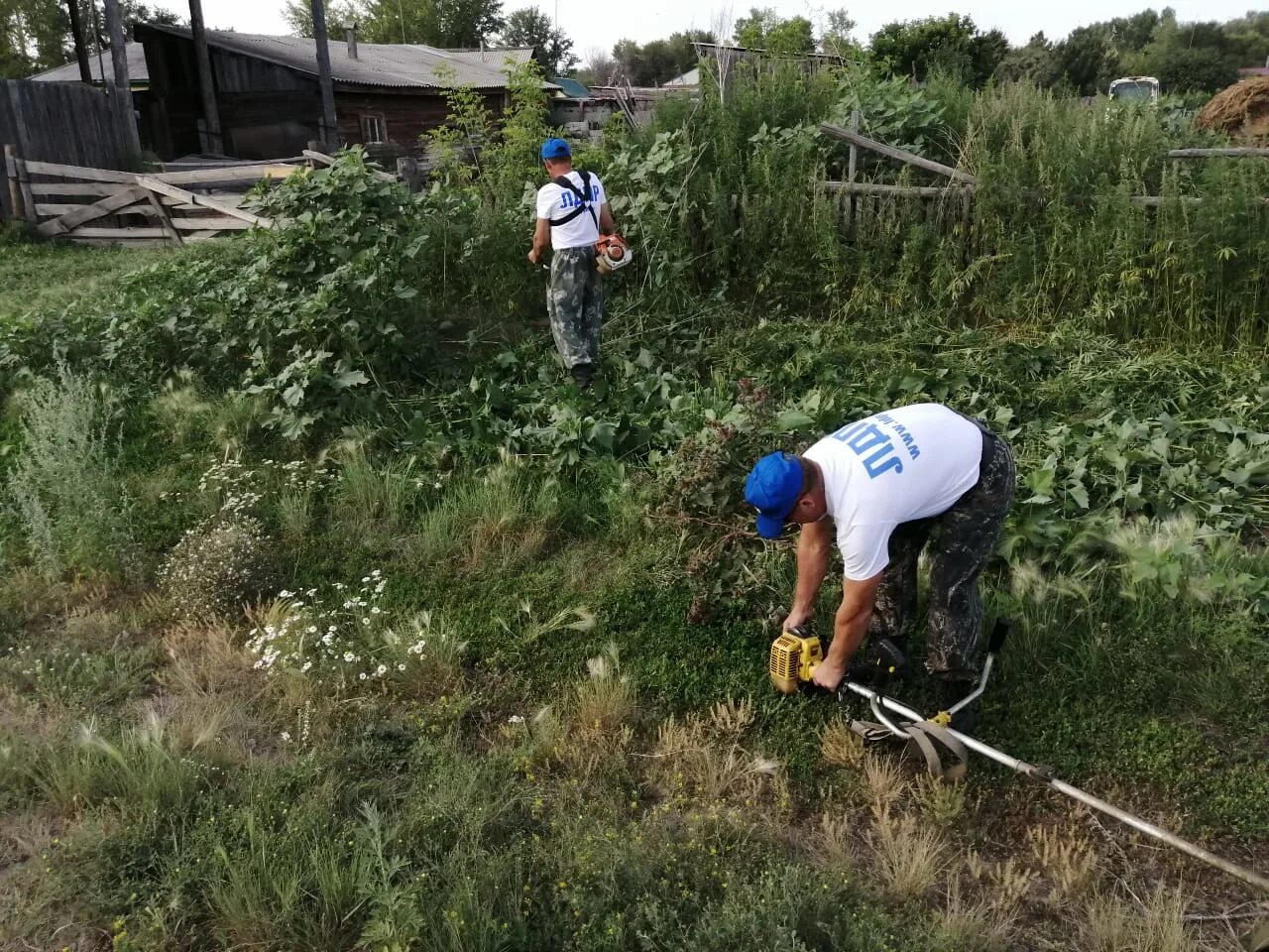 Село ракиты михайловский район. Село Ракиты Михайловского района. Село Ракиты Алтайский край. Село Ракиты Алтайский край Рубцовский район. Алтайский край Михайловский район село Ракиты.