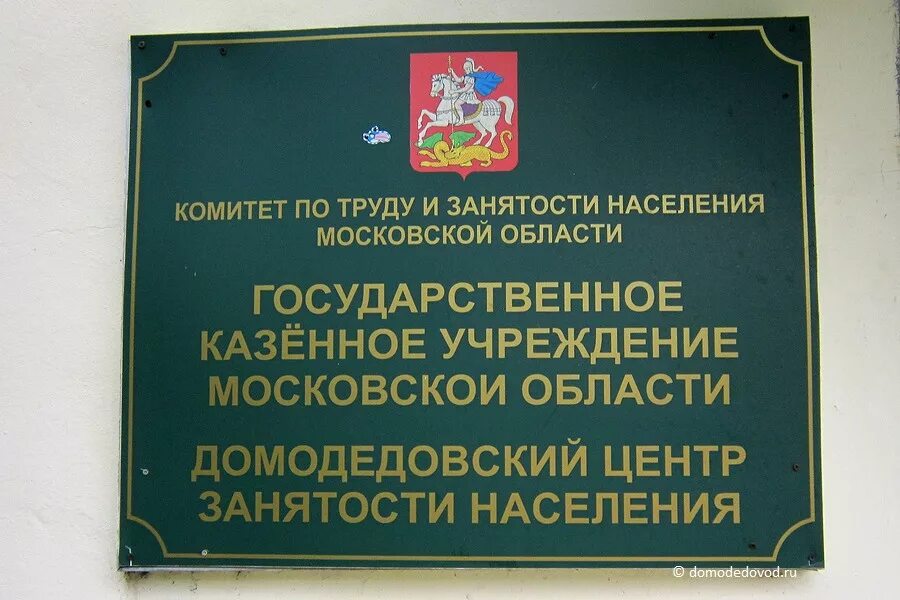 Казенное учреждение это. Муниципальные учреждения. Центр занятости г Домодедово. Гомударственноеказенноуучреждение. Казенное учреждение ресурсный центр