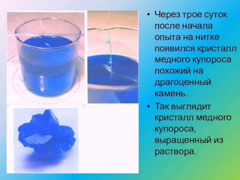 Взаимодействие железа с раствором медного купороса. Медный купорос эксперименты. Раствор медного купороса. Медный купорос кристалл вырастить. Медный купорос эксперименты.