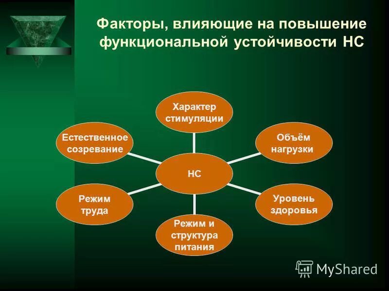 функциональная устойчивость