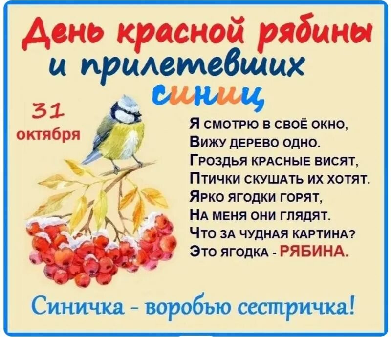 Каждый день прилетает синичка. Синегрудых с праздником. Русский язык 1 класс стр 16 синицы прилетели.