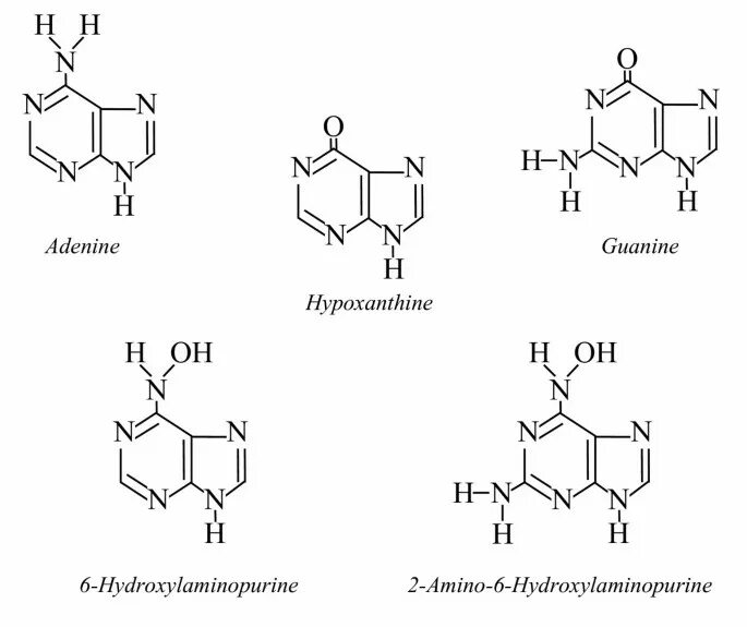 Аденин структура. Аденин в гипоксантин. Аденин гуанин формулы. Аденин строение.