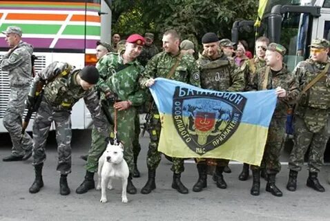 Фридом украинские
