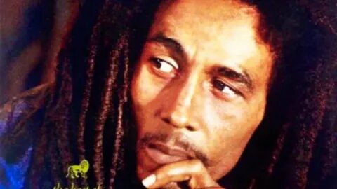 Bob marley the wailers