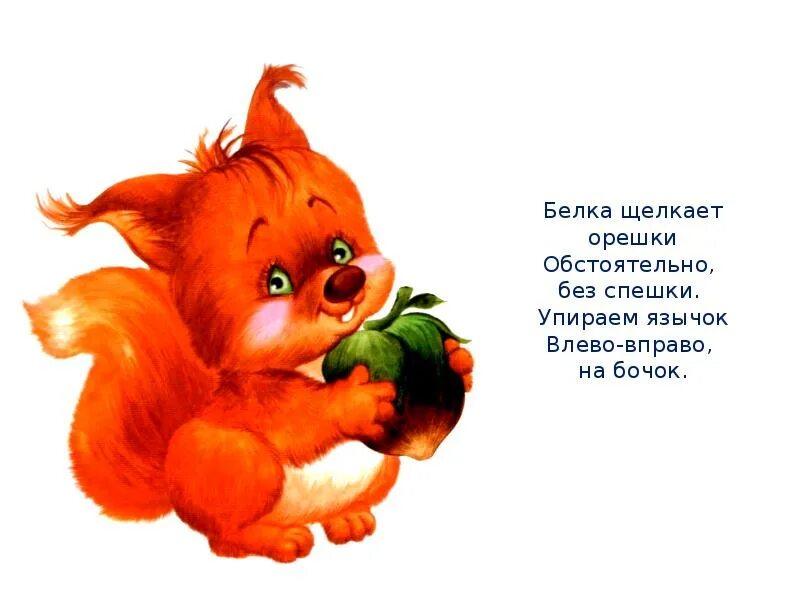 Орешки для белки. Белка щелкает орешки. Игра про белочку и орешки. Белочка щелкает кедр. Белка щелкает орешки.
