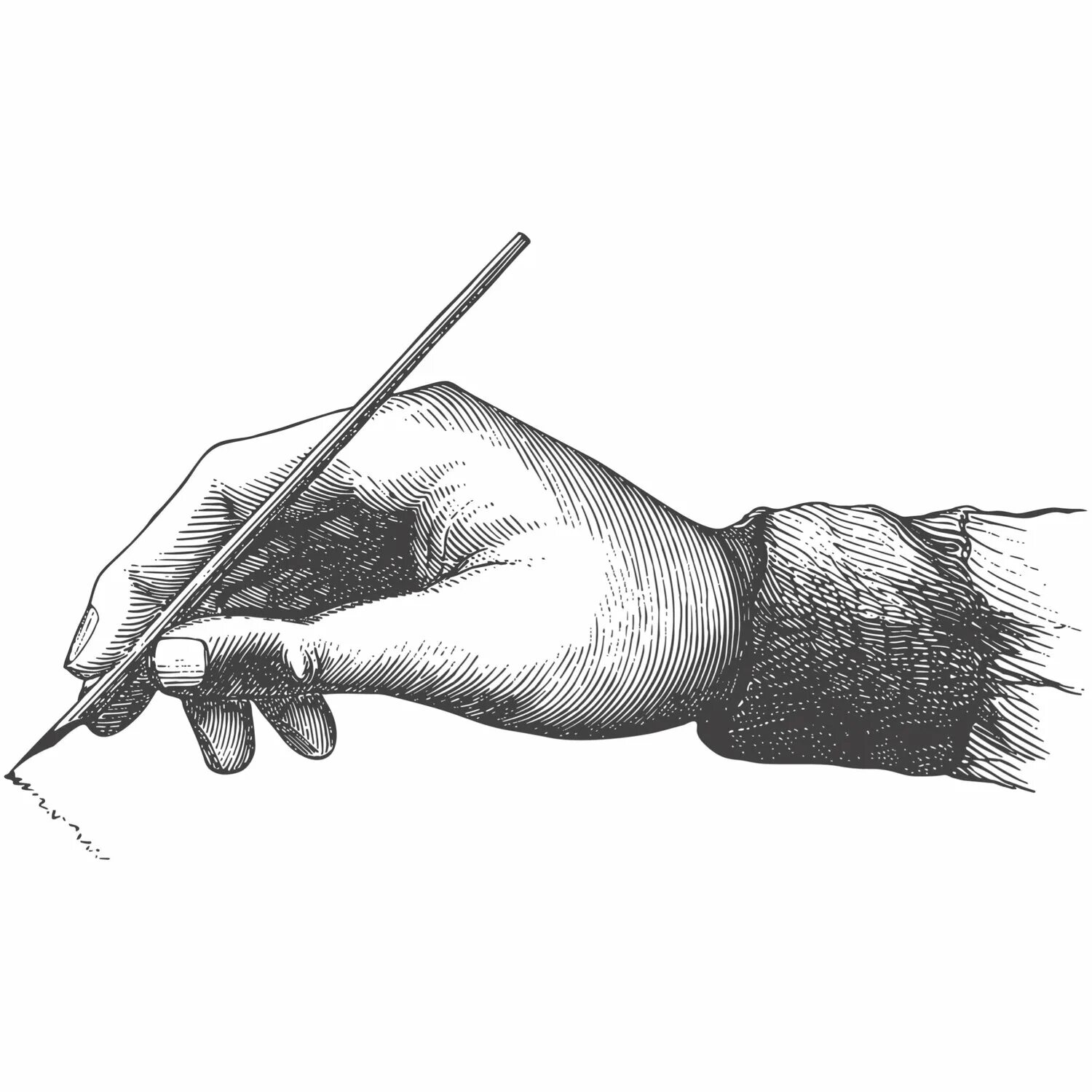 Кисть карандаш для рисования. Рука гравюра. рука с пером. кисть руки. кисть карандашом.
