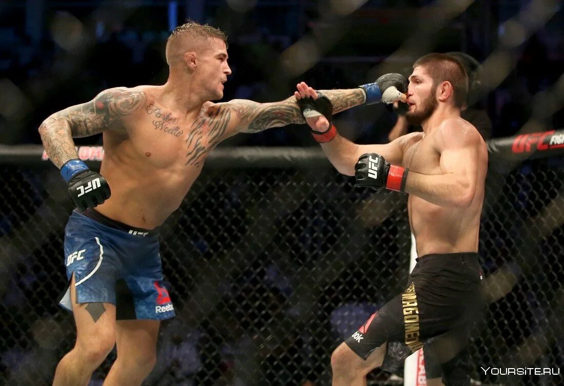 Хабиб нурмагомедов чемпион ufc. Гейджи нурмагомедов. Джастин гейджи хабиб. Бой нурмагомедова полный. Мма хабиб нурмагомедов.