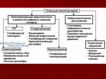 Стойкое тотальное нарушение