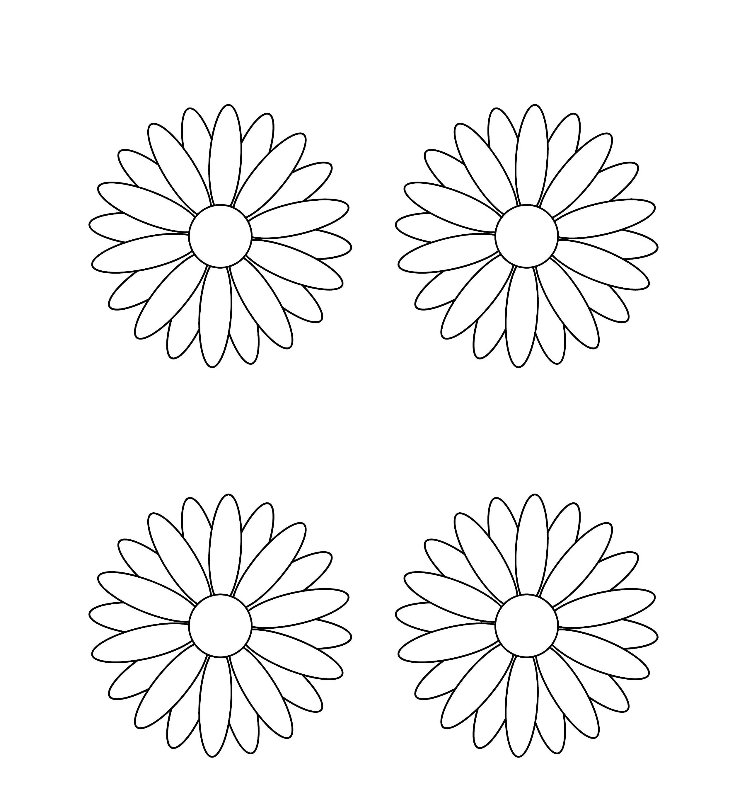 Трафарет ромашки. Трафарет ромашки. Ромашка раскраска. Ромашки для вырезания. Цветок шаблон.