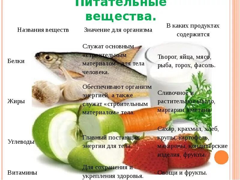 Какая рыба полезна для организма. Питательные вещества. питательные вещества в продуктах. рыба питательные вещества.