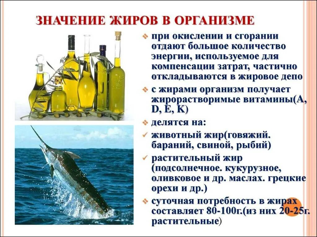 Какое значение жиров. Значение жиров. жиры значение для организма. значения жировов для организма.