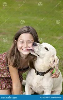 Little Girl Getting Kiss from Dog Stock Image - Image of girl, domestic: 15...