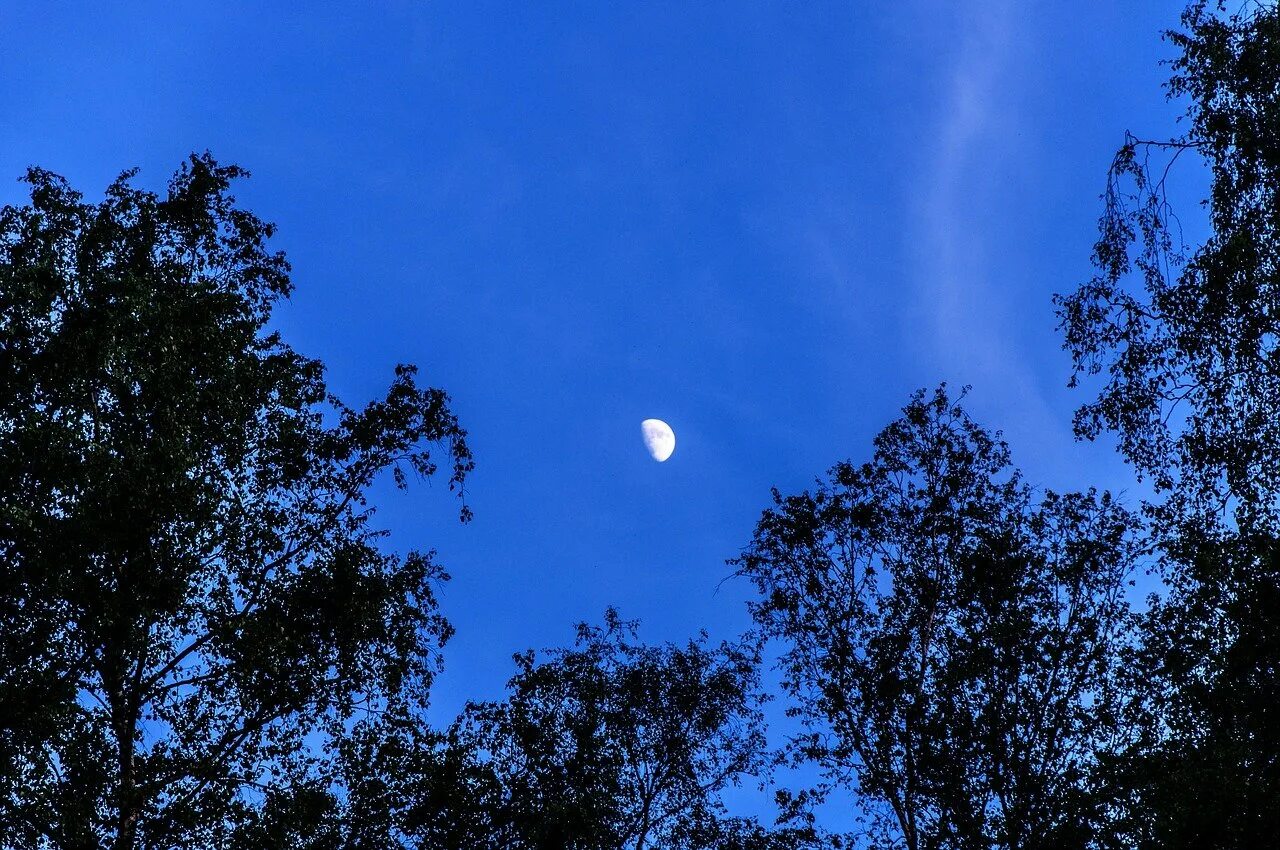 Луна. Луна на небе. Месяц на небе. Половина Луны.