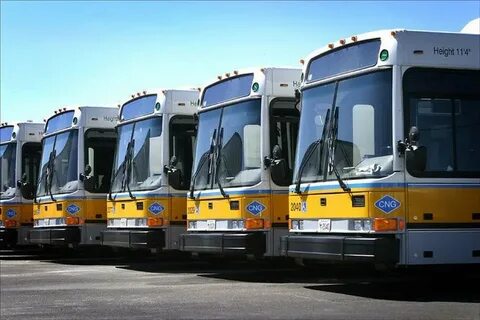 Bus service