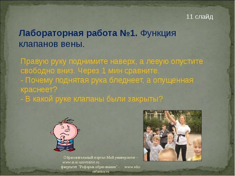 Лабораторная работа функция венозных клапанов 8 класс. Лабораторная работа функция венозных клапанов. почему поднятая рука побледнела. почему поднятая рука побледнела а опущенная покраснела. почему поднятая рука покраснела.