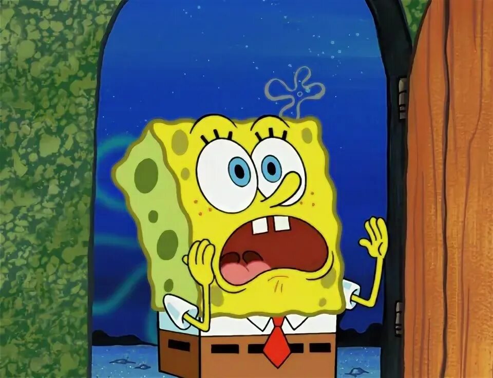 Spongebob go. Go to spongebob.
