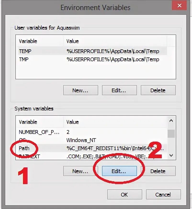 Edit the environment variables. Переменная dword. environment variables.
