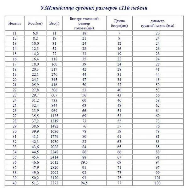 Окружность головки в 12 недель норма. Окружность головы ребенка в 12 недель беременности норма. Размеры головы плода по неделям беременности таблица. Диаметр живота плода по неделям беременности таблица. Сколько будет 40 недель