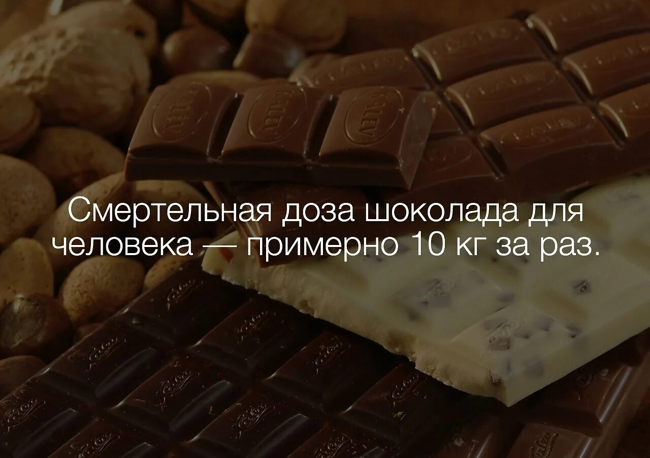 Шоколадка прикол. Шоколад прикол. Шутки про шоколад.