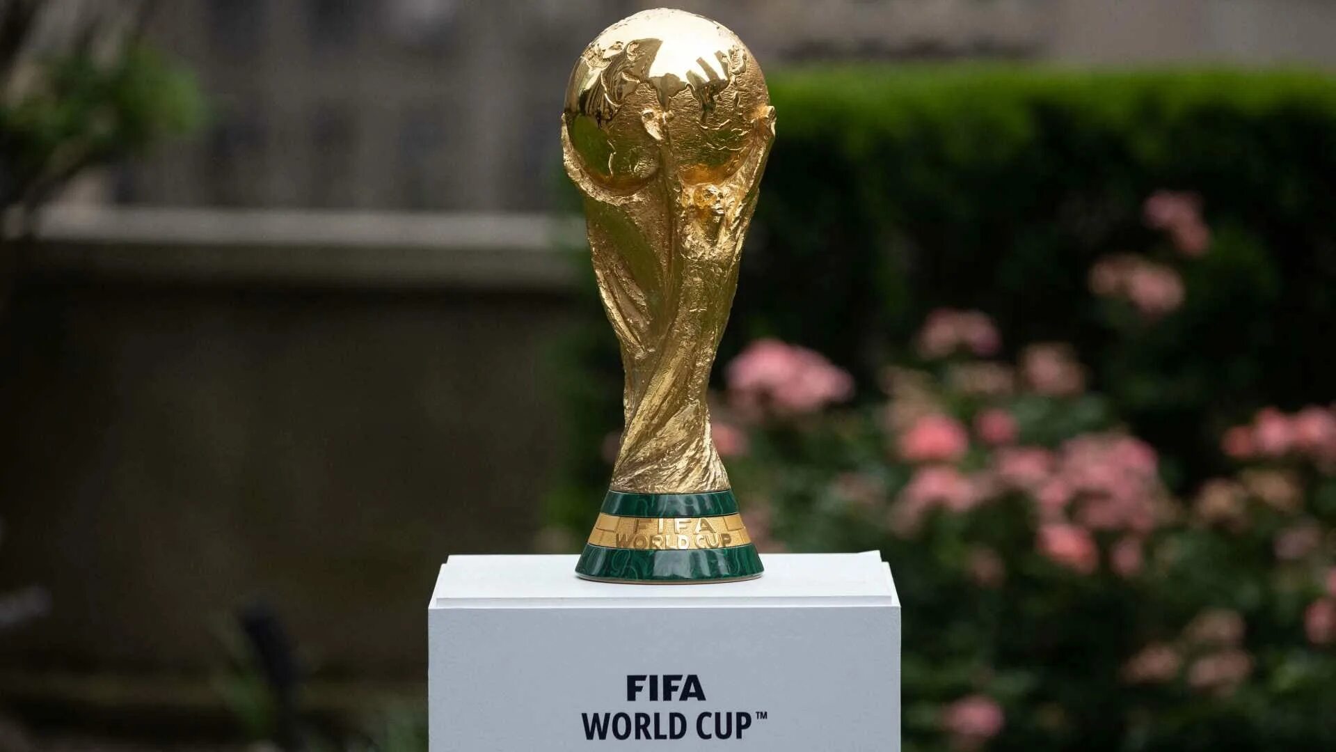 Fifa 2022. FIFA World Cup 2022. Qatar 2022 World Cup. Чемпионат мира по футболу 2026. ЧМ 2026.