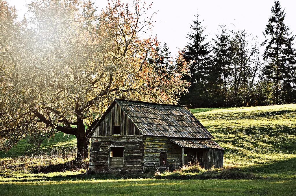 Download Idyllic Dutch Countryside Home Wallpaper Wallpapers.com