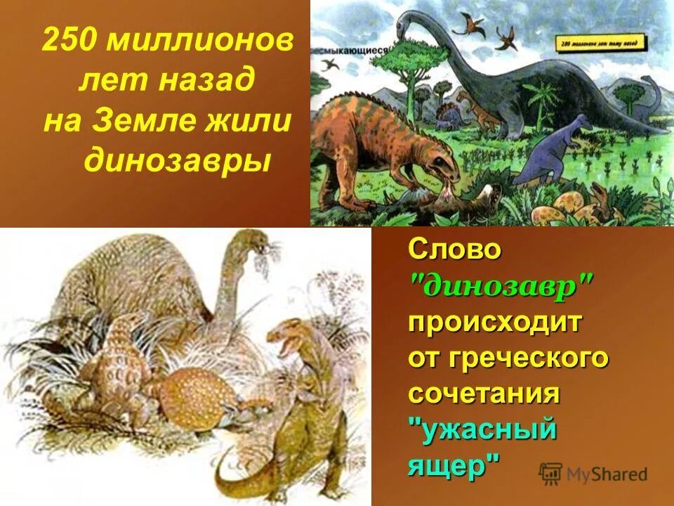 Когда жили динозавры урок. Динозавры обитали на земле. 250 Миллионов лет назад. Динозавры жили на земле миллионы лет назад. Динозавры жили 1000000 лет назад.