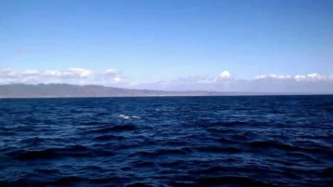 Ocean long