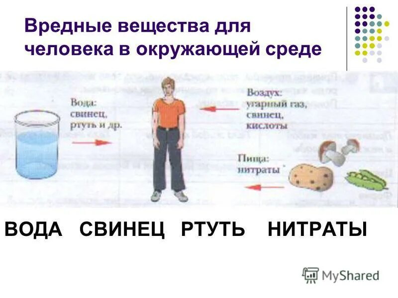 Вредные вещества для человека. Вещества вредные для здоровья человека и окружающей среды. Химия вредная для человека. Нитрат ртути вода