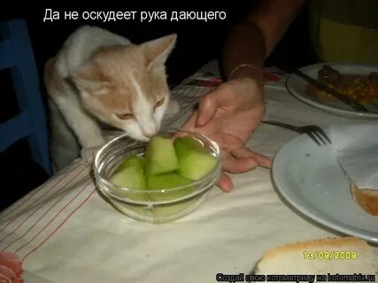 Да не оскудеет рука дающего