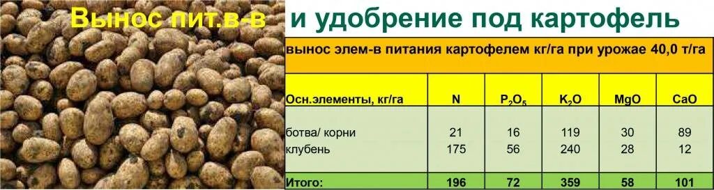 Сколько нужно картошки на сотку. Схема внесения удобрений для картофеля. Таблица внесения удобрений для картофеля. Нормы внесения Минеральных удобрений под картофель. Норма внесения удобрений на 1 га картофеля.