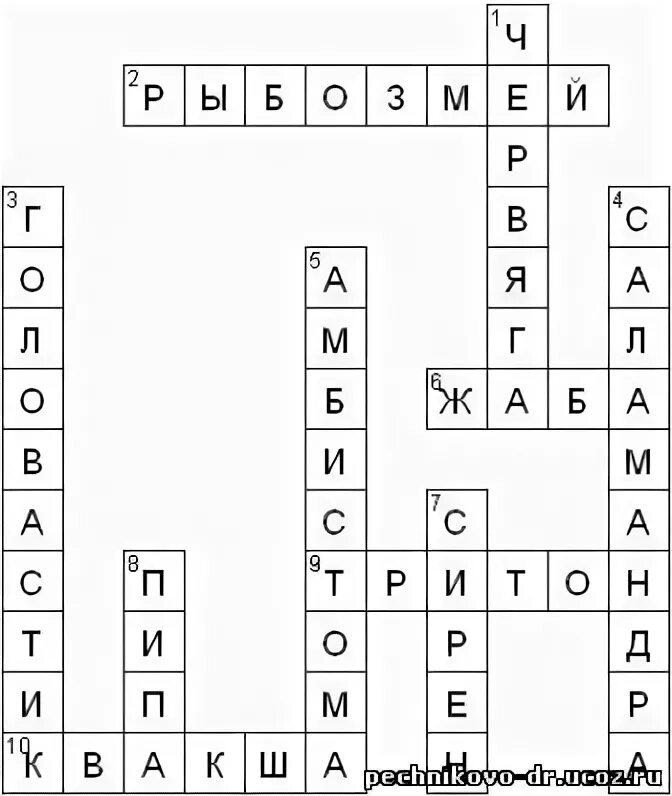 Кроссворд земноводные биология. Кроссворд по теме земноводные 7 класс с ответами. Амфибии земноводные кроссворд.