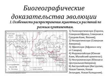 3 доказательства эволюции