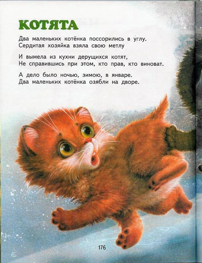 Рассказ маленький котенок. Стихи про котят. Стихотворение котята. Детские стихи про котят. Маленькие стихи про котят.