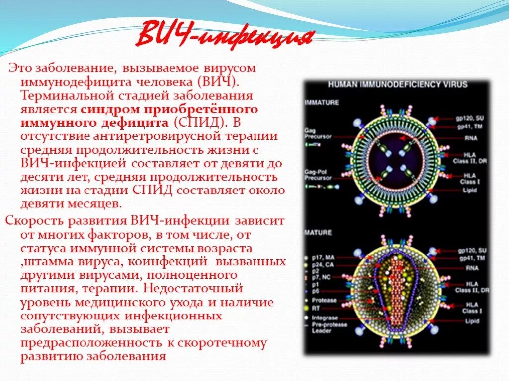 Спид вызван вирусом. Моральные проблемы ВИЧ. СПИД морально-этические проблемы. ВИЧ инфекция вызывается вирусом. Этические проблемы больных СПИДОМ.