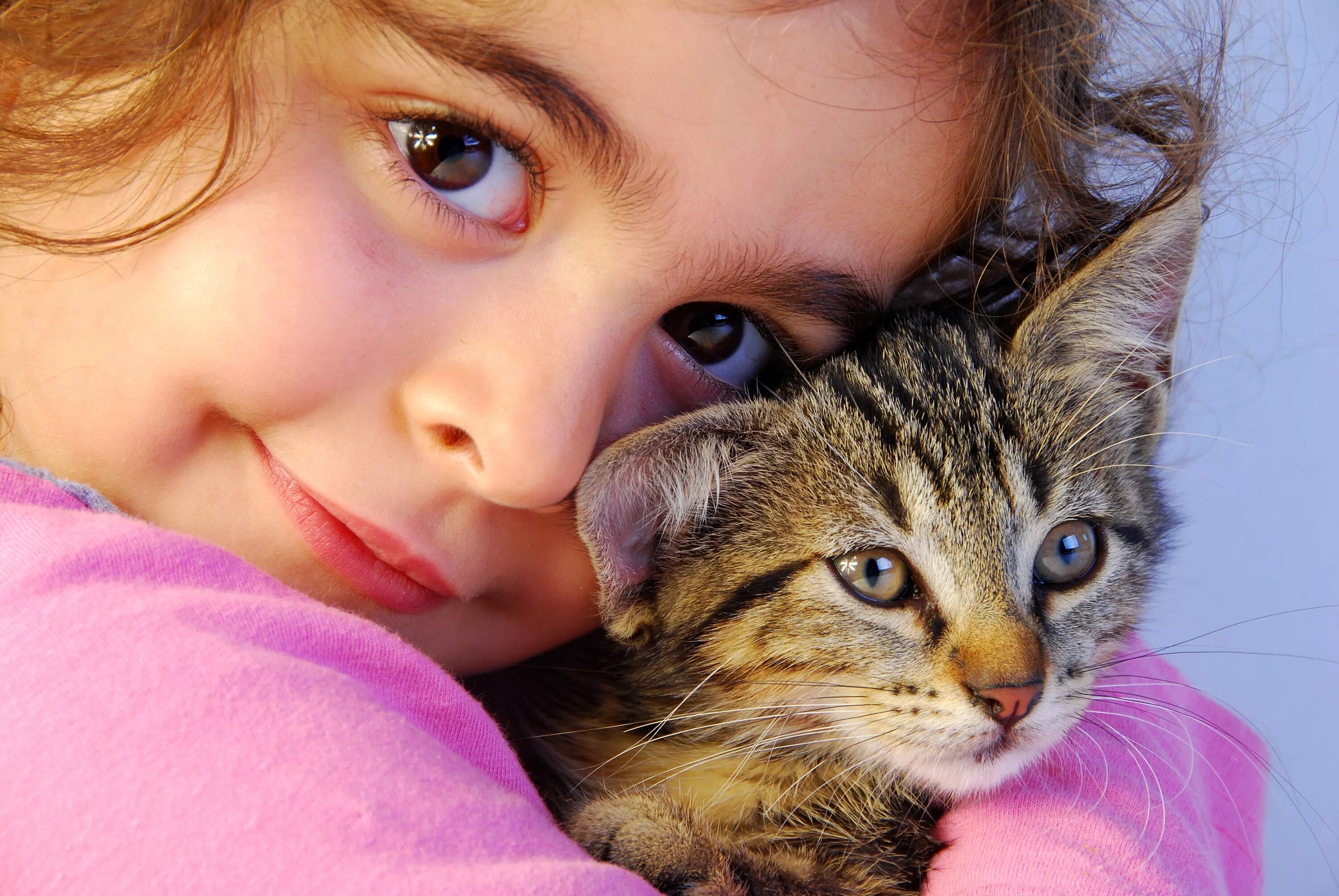 Кот не любит детей. Домашние животные для детей. Девочка с котятами. Котёнок-ребёнок. Маленькие дети и животные.